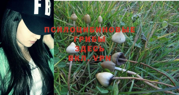 герыч Абдулино