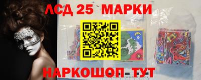 a pvp Новозыбков