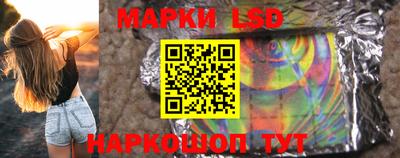 a pvp Новозыбков