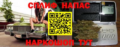 a pvp Новозыбков