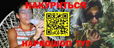 a pvp Новозыбков