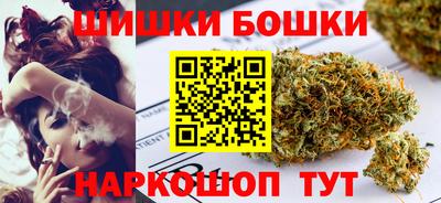 a pvp Новозыбков