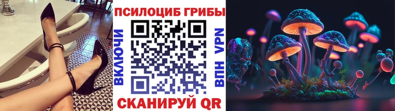 сколько стоит  Североморск  Псилоцибиновые грибы мицелий 